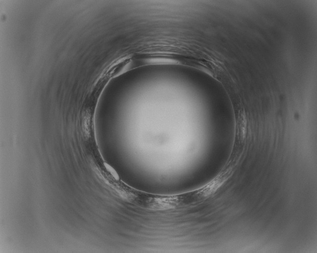 X0000056370188200508291410