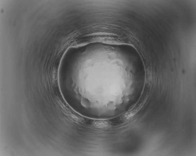 X0000056370189200508291410