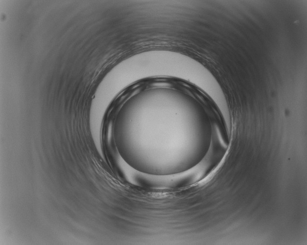 X0000056370190200508291410