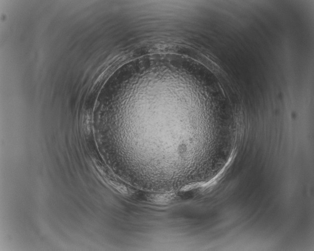 X0000056370191200508291410