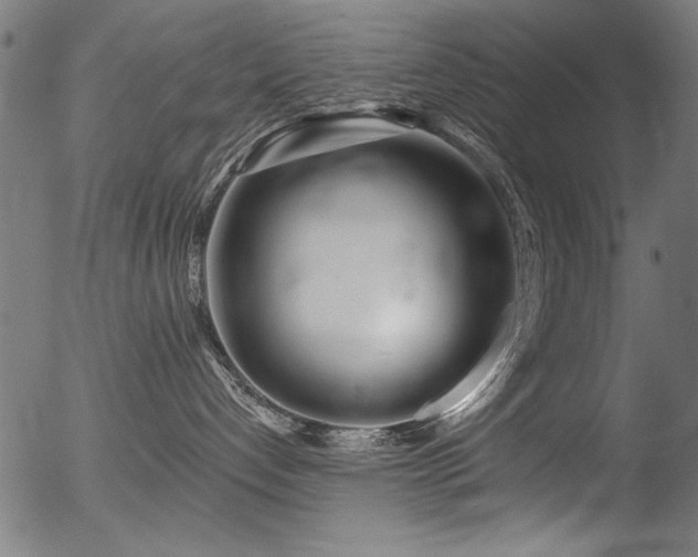 X0000056370192200508291411