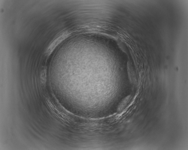 X0000056370194200508291410