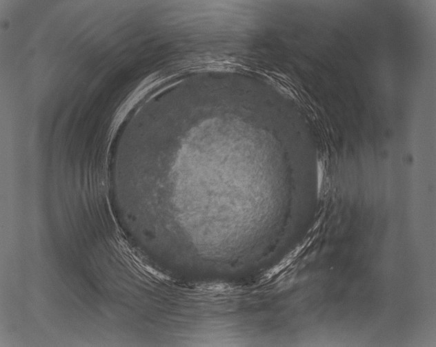 X0000056370195200508291410