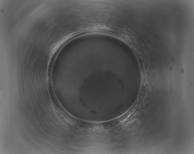 X0000056370196200508291410