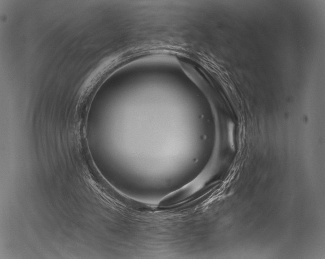 X0000056370197200508291410