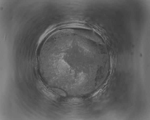 X0000056370198200508291410