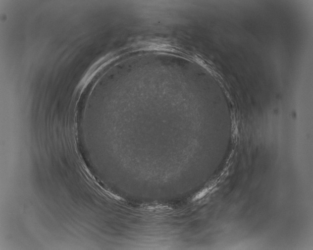 X0000056370199200508291410