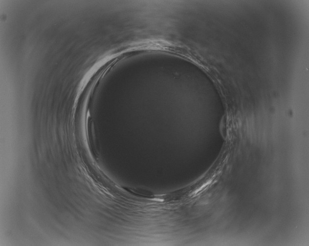 X0000056370200200508291410