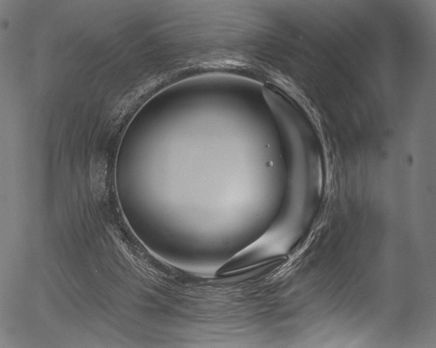 X0000056370201200508291410