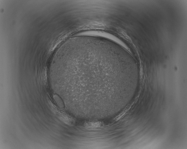 X0000056370202200508291410