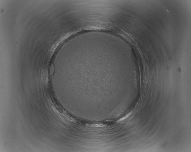 X0000056370204200508291410