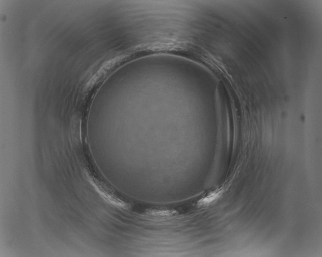 X0000056370205200508291409