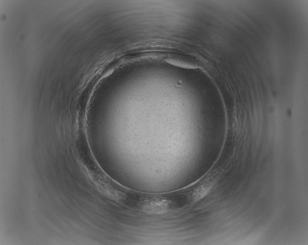 X0000056370206200508291409