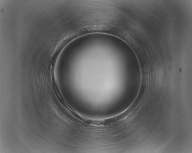 X0000056370207200508291409