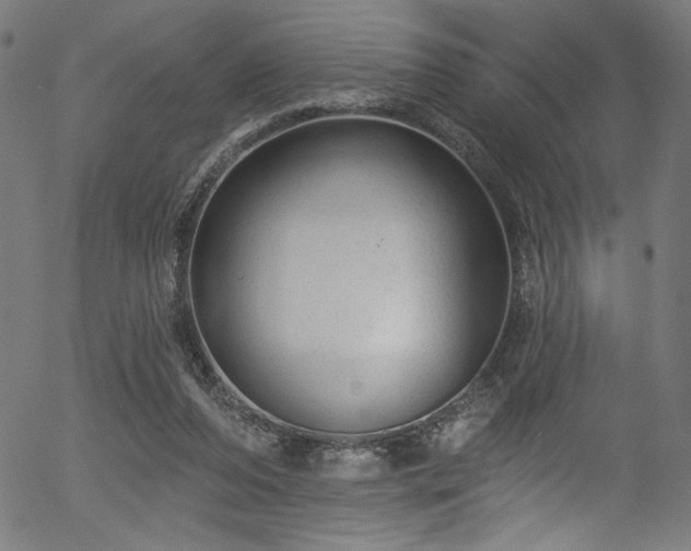 X0000056370208200508291409