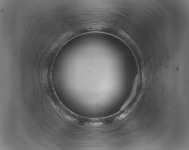 X0000056370209200508291409