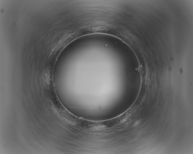 X0000056370210200508291409