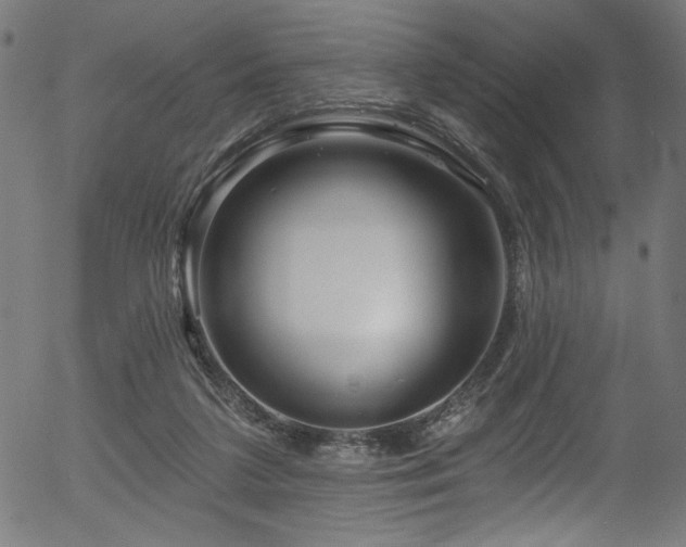 X0000056370211200508291409