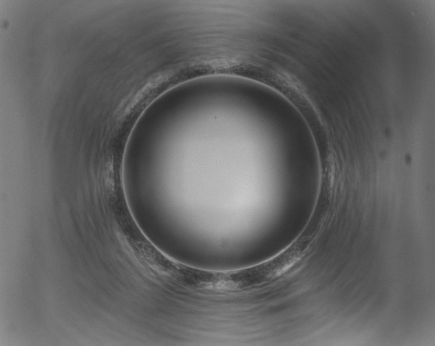 X0000056370212200508291409