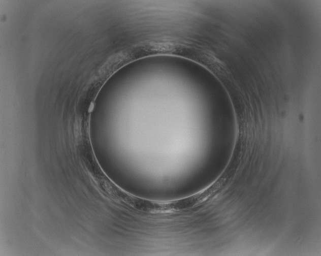 X0000056370213200508291409