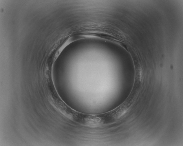 X0000056370215200508291409