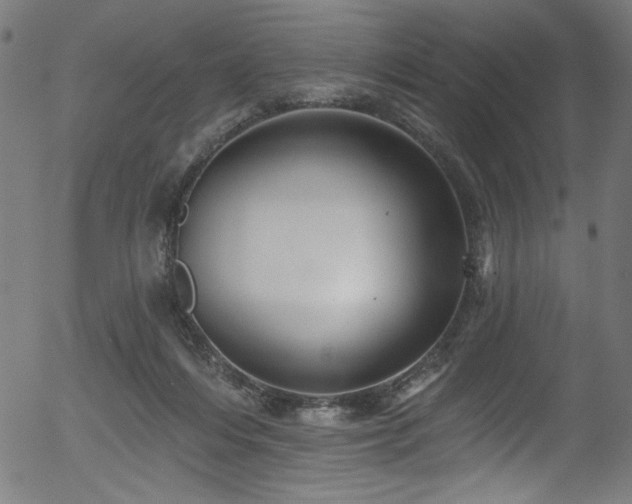 X0000056370216200508291409