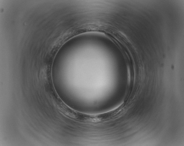 X0000056370217200508291409