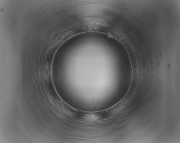 X0000056370218200508291409