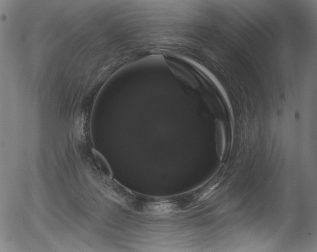 X0000056370219200508291409