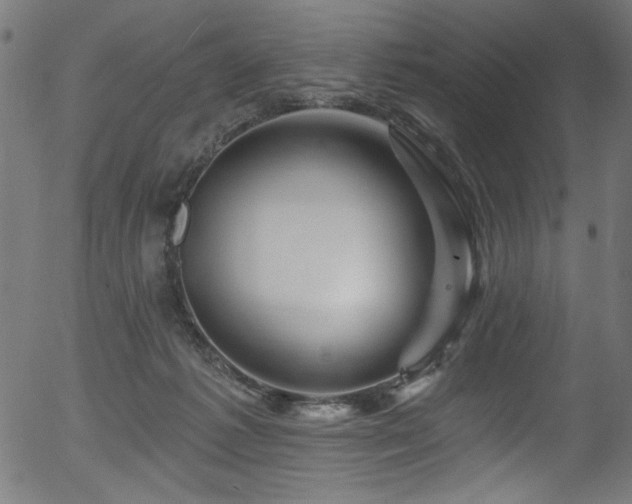 X0000056370221200508291409