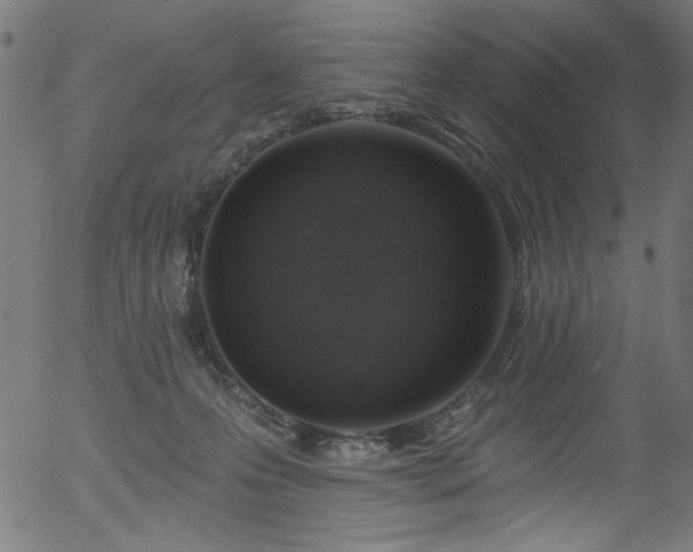 X0000056370223200508291409