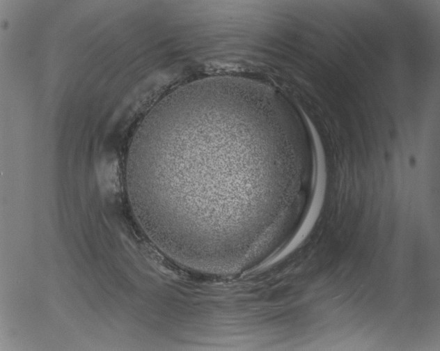 X0000056370224200508291409