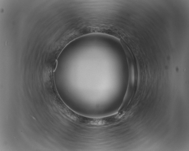 X0000056370225200508291409