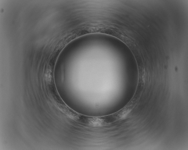 X0000056370226200508291409