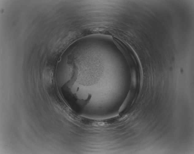 X0000056370227200508291409