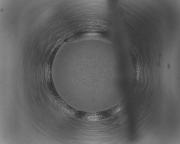 X0000056370228200508291409