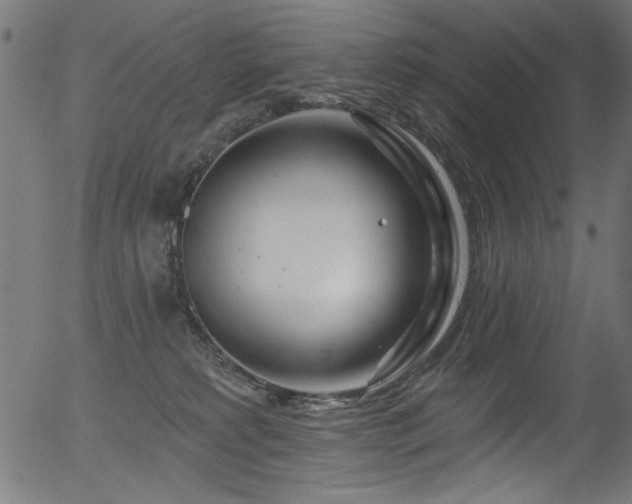 X0000056370229200508291409