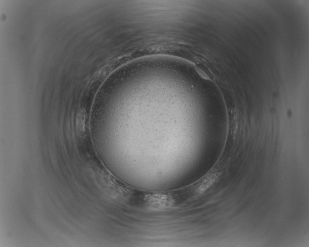 X0000056370230200508291409