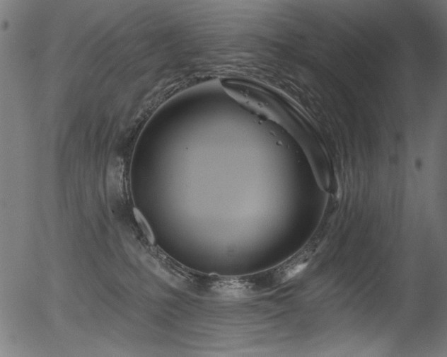 X0000056370231200508291409