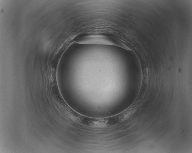 X0000056370232200508291409