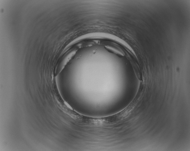 X0000056370233200508291409