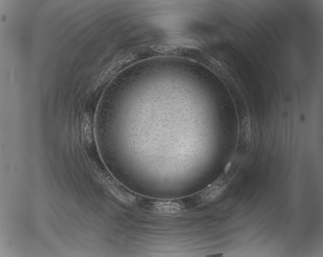 X0000056370234200508291409