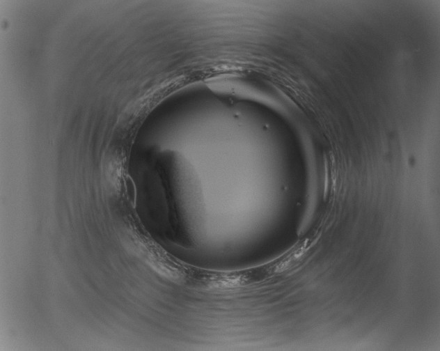 X0000056370235200508291409