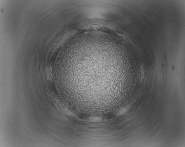 X0000056370236200508291409