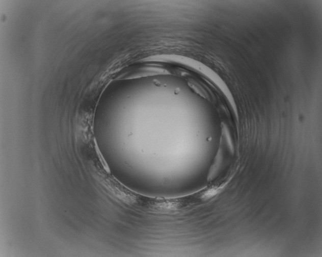 X0000056370237200508291409