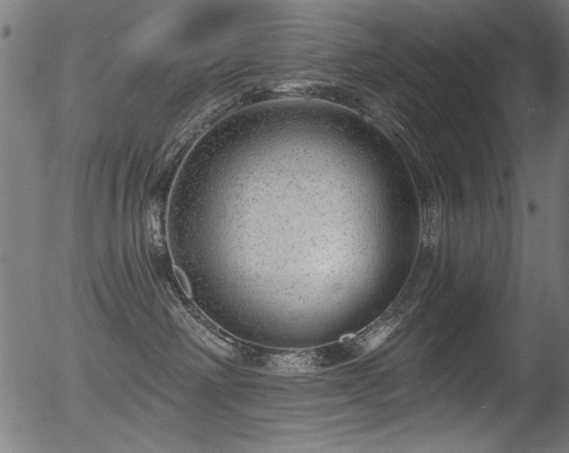 X0000056370238200508291409