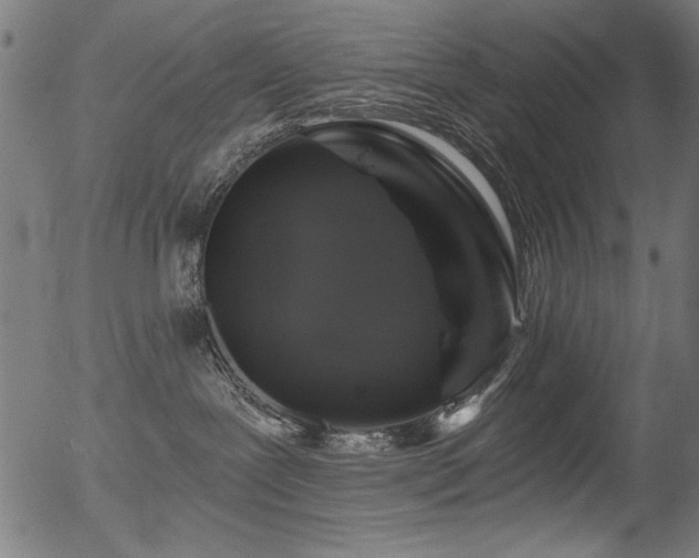 X0000056370239200508291409