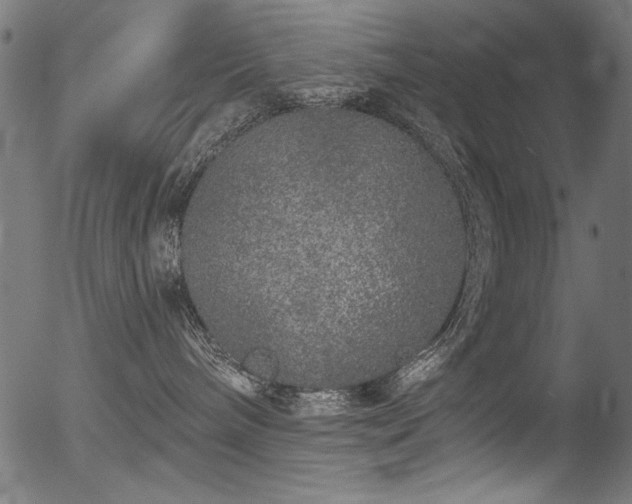 X0000056370240200508291409