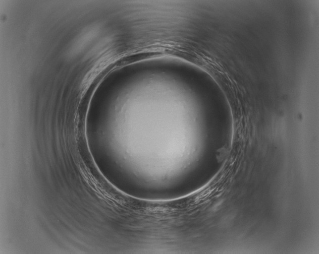 X0000056370242200508291408