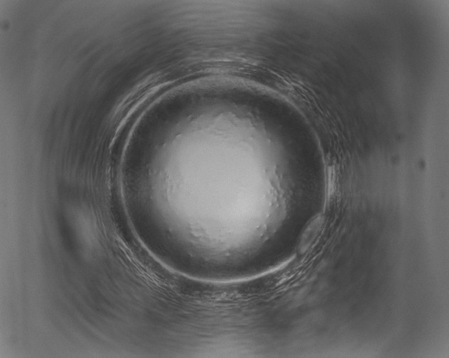 X0000056370243200508291408